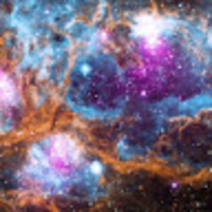 Meet your Posher, Sasha